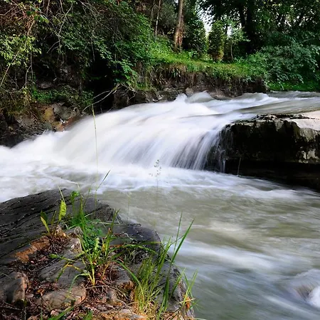 Gory 涅兹卡城堡